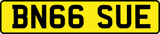 BN66SUE