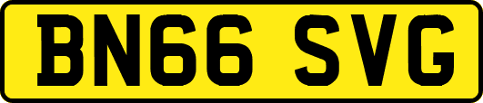 BN66SVG