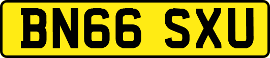 BN66SXU