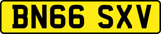 BN66SXV