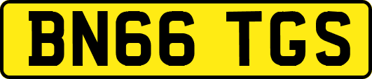 BN66TGS