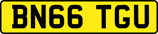 BN66TGU