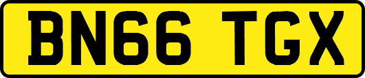 BN66TGX