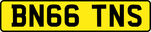 BN66TNS