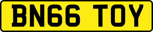 BN66TOY