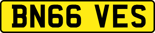 BN66VES