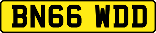 BN66WDD