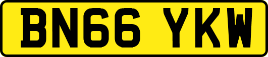 BN66YKW