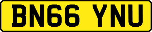 BN66YNU