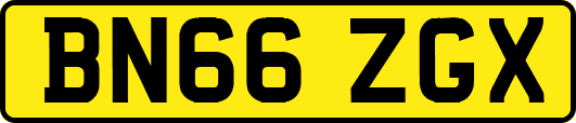 BN66ZGX