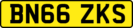 BN66ZKS