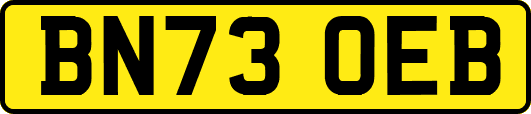 BN73OEB