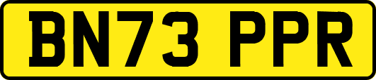 BN73PPR