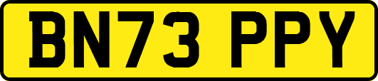 BN73PPY
