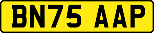 BN75AAP