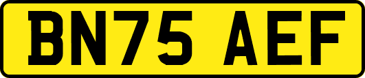 BN75AEF