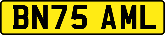 BN75AML