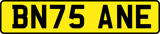 BN75ANE