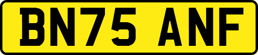 BN75ANF