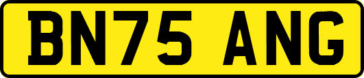BN75ANG