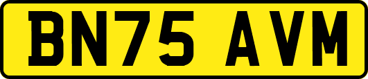 BN75AVM