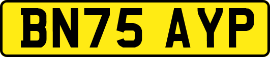 BN75AYP