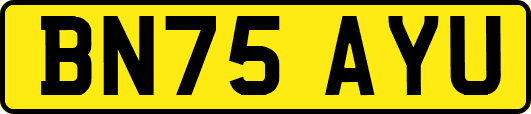 BN75AYU