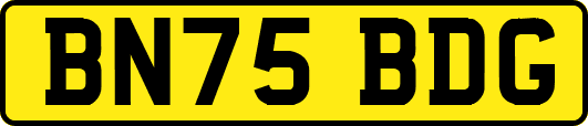 BN75BDG