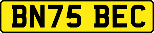 BN75BEC