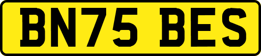 BN75BES