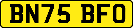 BN75BFO