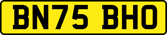 BN75BHO