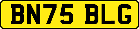 BN75BLG