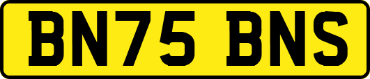 BN75BNS