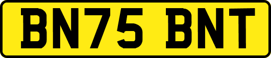 BN75BNT