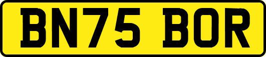 BN75BOR