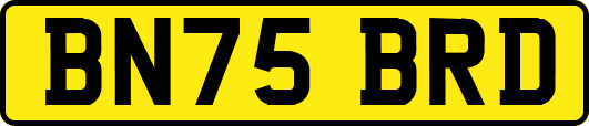 BN75BRD