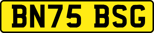 BN75BSG