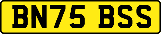 BN75BSS