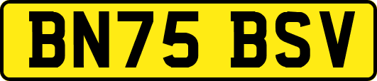 BN75BSV