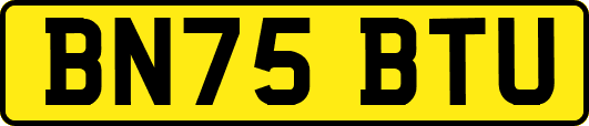 BN75BTU