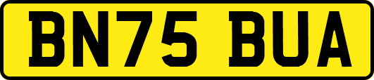 BN75BUA