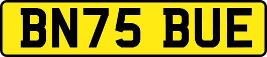 BN75BUE