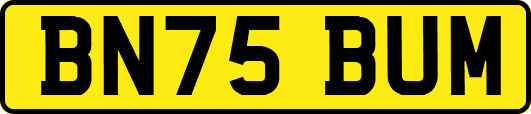 BN75BUM