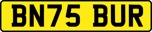 BN75BUR