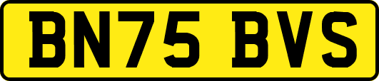 BN75BVS
