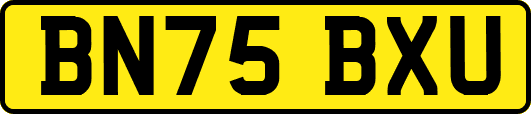 BN75BXU