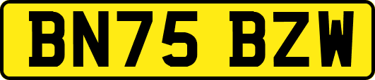 BN75BZW