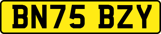 BN75BZY