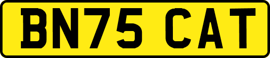 BN75CAT